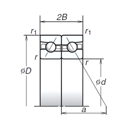 Bearing 100BAR10H