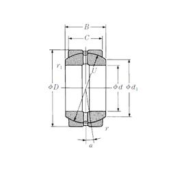 Bearing 100FSF150