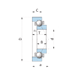 Bearing 120SLE2111