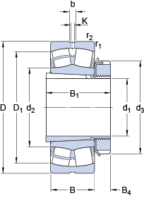 Bearing 22213 EK + H 313