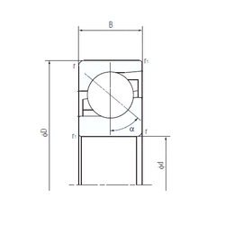 Bearing 100TAF21