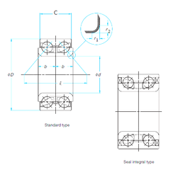 Bearing 28-DE08A11LLXCS40PX1/L260