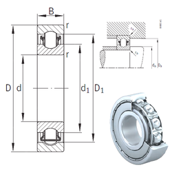 Bearing BXRE309-2Z