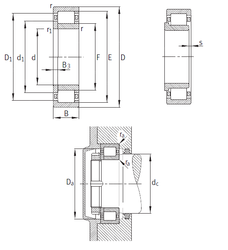 Bearing NUP2244-EX-M1