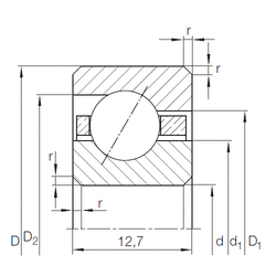 Bearing CSED 1603)