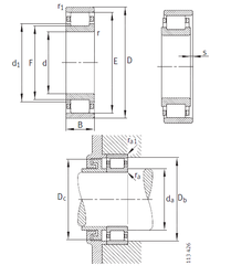 Bearing N248-E-M1