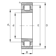 Bearing N1948-K-M1-SP