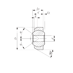 Bearing SNA 6