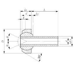 Bearing SNA 4-6