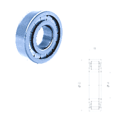 Bearing F-211978.01