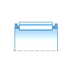 Bearing F-209107