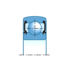 Bearing F-122901.7