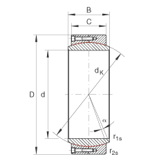 Bearing GE1000-DW