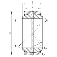 Bearing GE100-DO-2RS