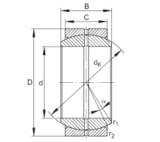 Bearing GE100-DO