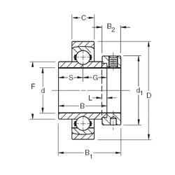 Bearing SM1307KS