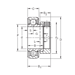 Bearing RAL103NPPB