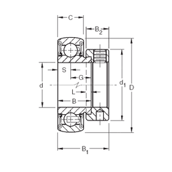 Bearing RAE55RRB