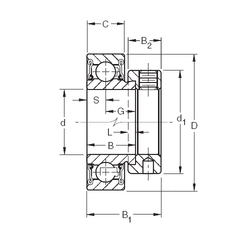 Bearing RAE55RR