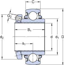 Bearing YSPAG 207-107